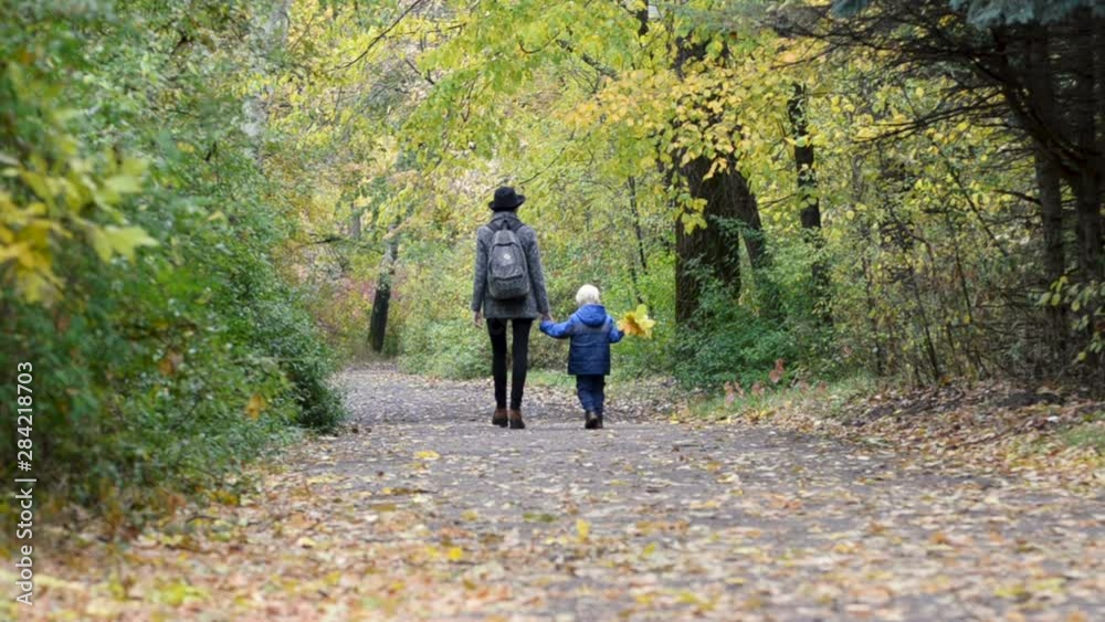Mother and son walk by the hand along the autumn alley of the park. Back view Mother and son walk by the hand along the autumn alley of the park. Back view