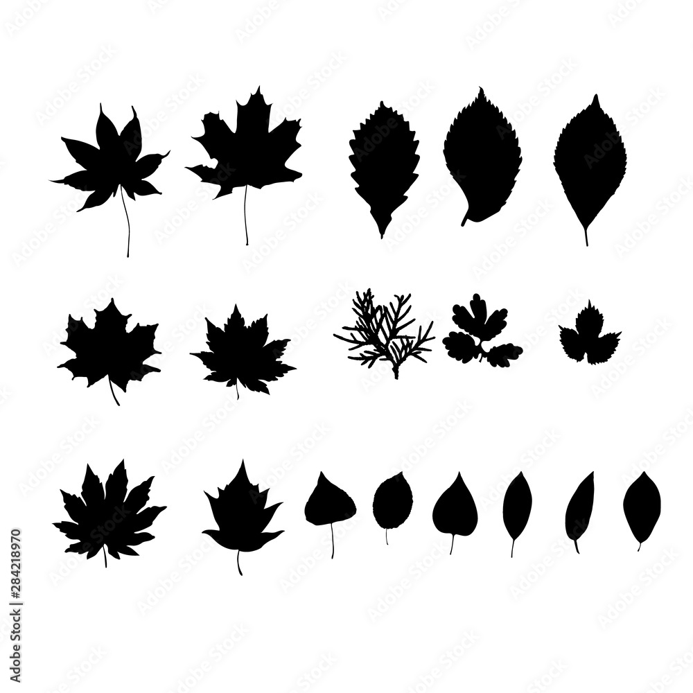 set of leaves silhouettes set of leaves silhouettes