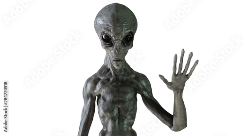 Fotografia, Obraz gray alien. 3d render