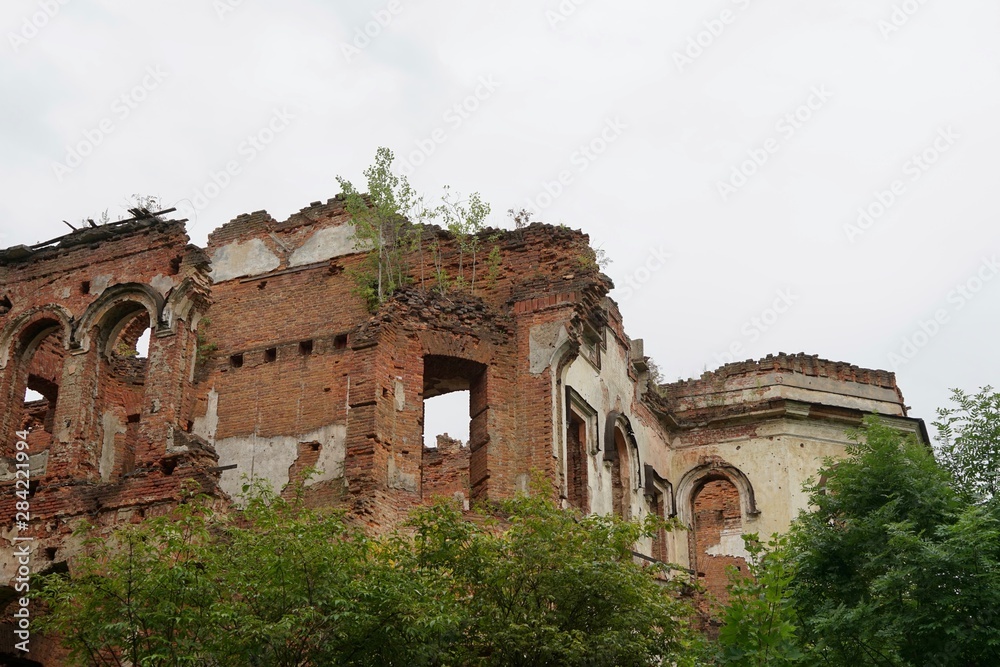 Junge Bäume wachsen auf der Ruine des verlassenen Herrenhauses in Gostilitsy in der Oblast Leningrad bei Sankt Petersburg