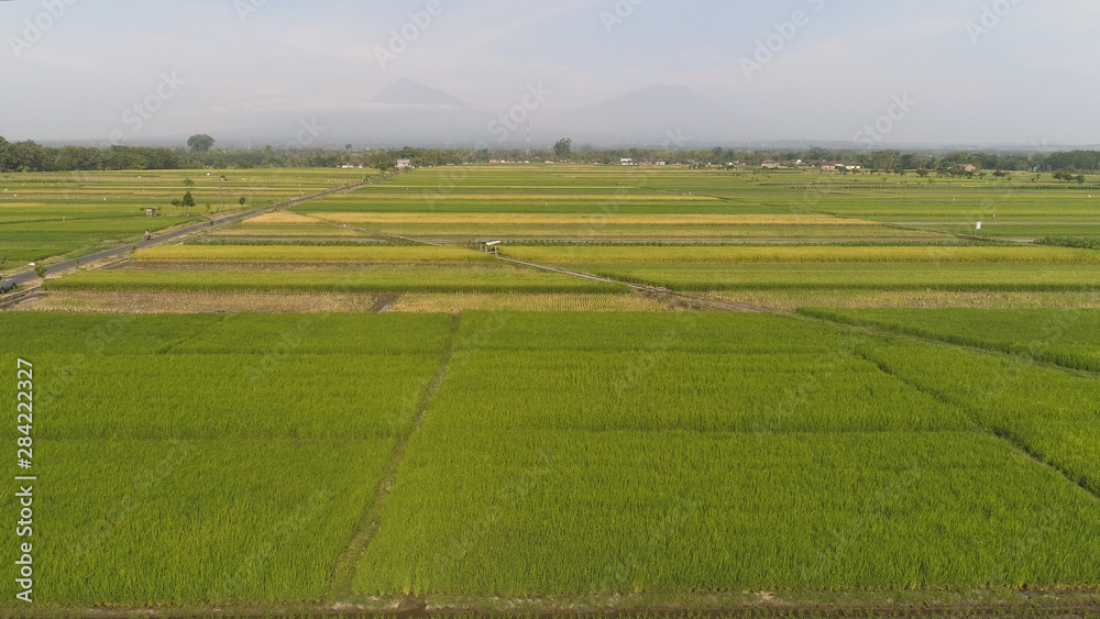 aerial view rice fields, agricultural land with sown green in countryside. farmland with agricultural crops in rural areas Java Indonesia. Land with grown plants of paddy aerial view rice fields, agricultural land with sown green in countryside. farmland with agricultural crops in rural areas Java Indonesia. Land with grown plants of paddy