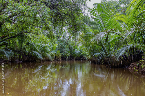 A beauty of the Klong SangNeh  Which is known as the little Amazon of Thailand