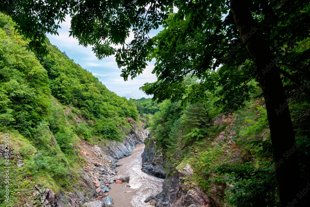 Distant view of mountain river, rocks and green forest in summer Distant view of mountain river, rocks and green forest in summer