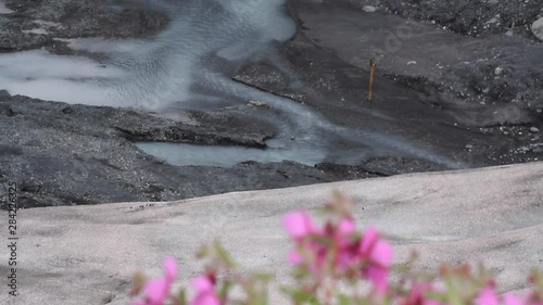 MS wild Lupin, rack focus to stream of melting water colored by glacier