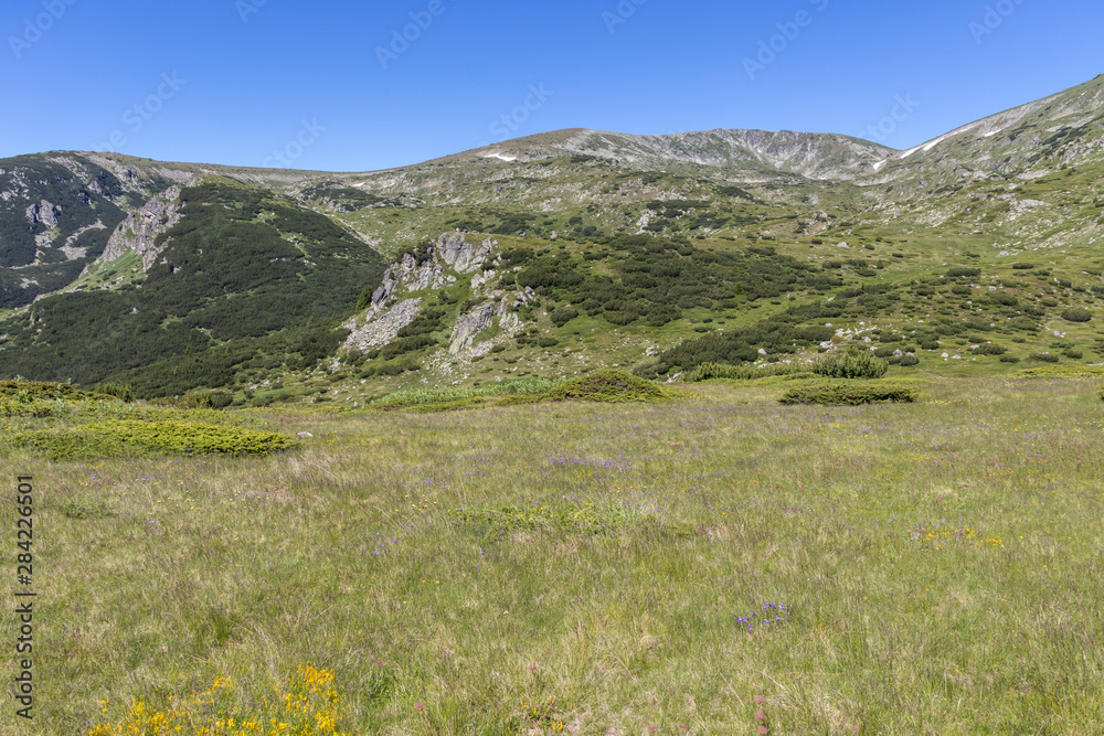 Naklejka premium Landscape near Belmeken Peak, Rila mountain, Bulgaria