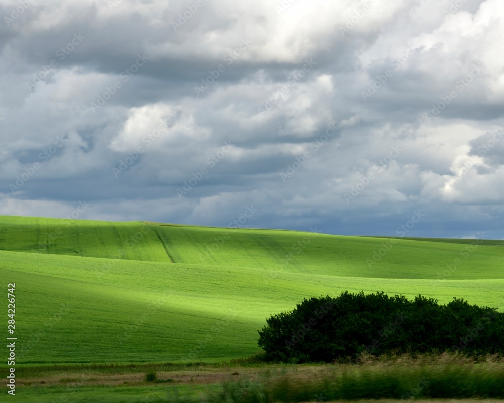 Fototapeta premium Green Rolling Hills Of The Palouse
