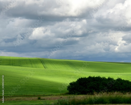 Green Rolling Hills Of The Palouse