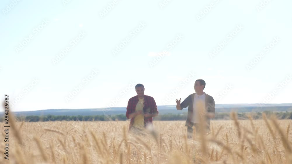 teamwork smart farming. two lifestyle farmers work in a wheat field. farmers explore are studying. man with digital tablet Wheat Field summer in the field wheat bread. slow motion video. farmer Smart