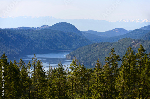 Landscape of the sea bay surrounded by mountains and coniferous forest. Spruce trees in the foreground. Haze over the sea. Cowichan Valley, Vancouver Island, Canada