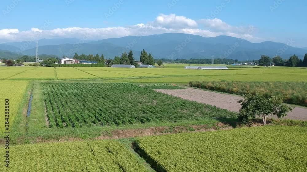日本の田園風景 空撮 8月 日本の田園風景 空撮 8月