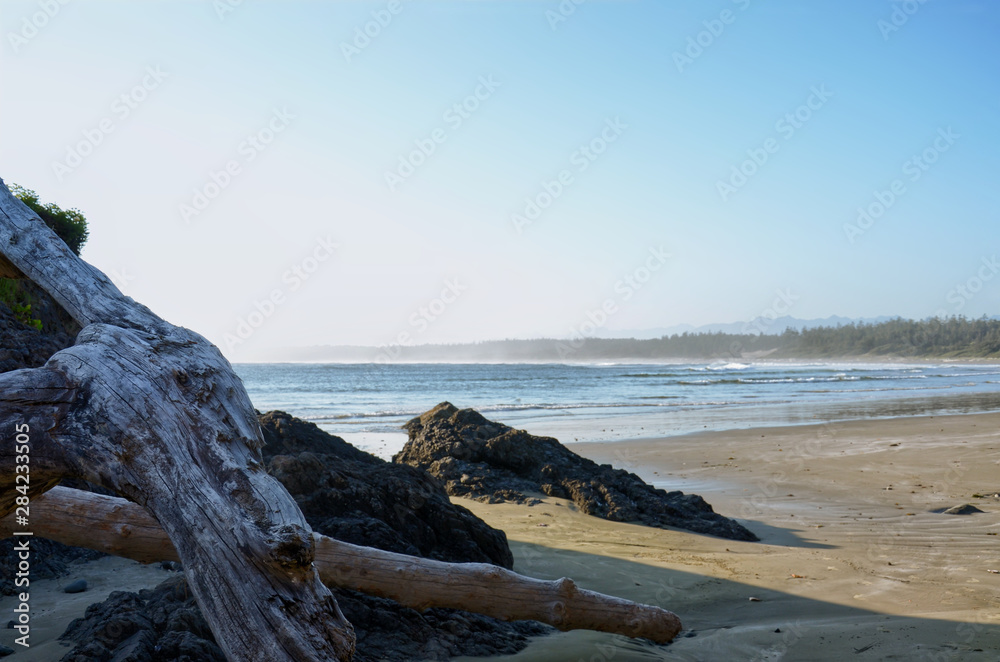 drift wood on the background of ocean waves on the Pacific coast, blue sky and water mist over the ocean on a sunny day, Vancouver Island, Pacific Rim National Park, Canada