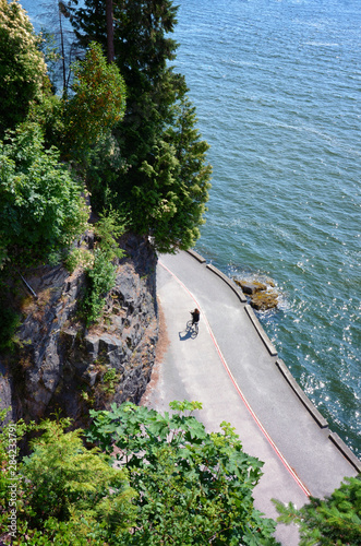Cyclist rides on Stanley Park's famous Seawall on a sunny summer day. scenic view from the rock of water and majestic trees