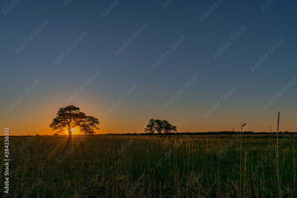 Fototapeta premium Atardecer de Campo - Chaco Argentina