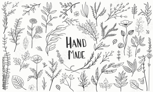 set plants hand made, hand-drawn vector