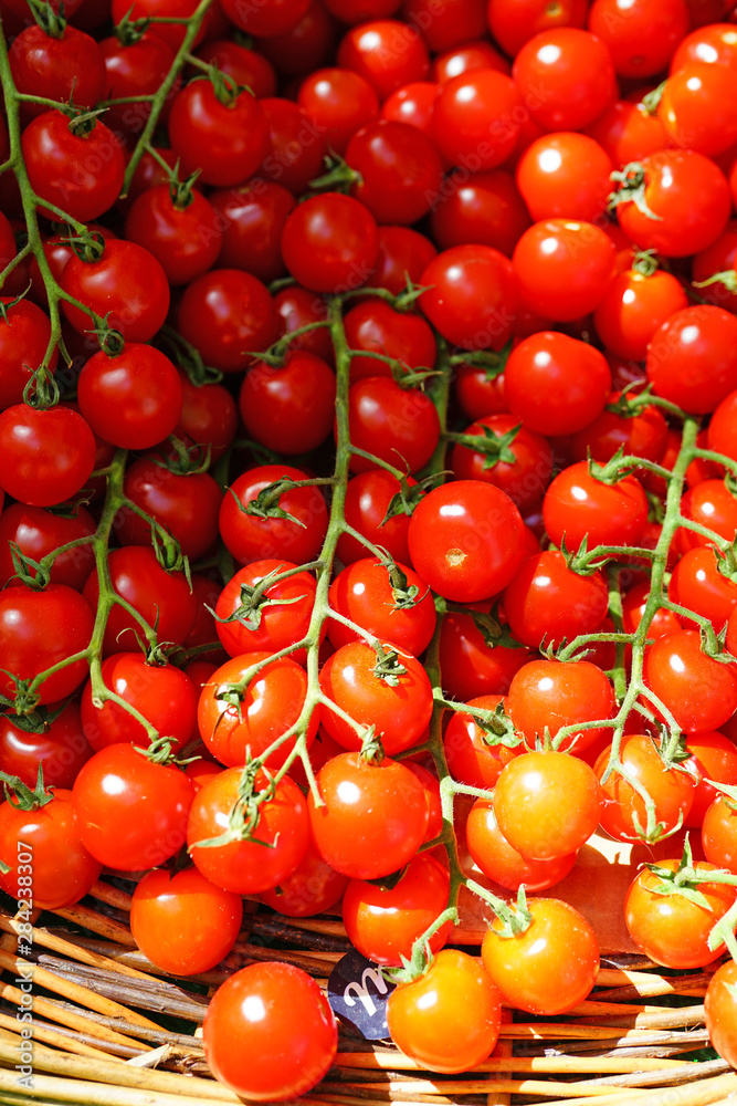 Branches of colorful tomatoes at the farmers market