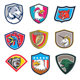 Set or collection of cartoon character mascot style illustration of heads of animals like rooster, dog, fox, cobra, unicorn, bulldog, eagle and cougar or mountain lion set in crest on isolated .