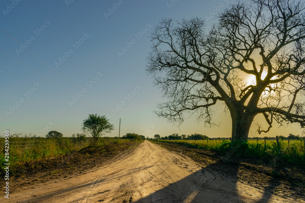 Cruce de Caminos Rurales