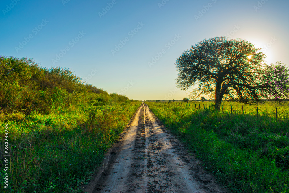 Camino Rural al Atardecer