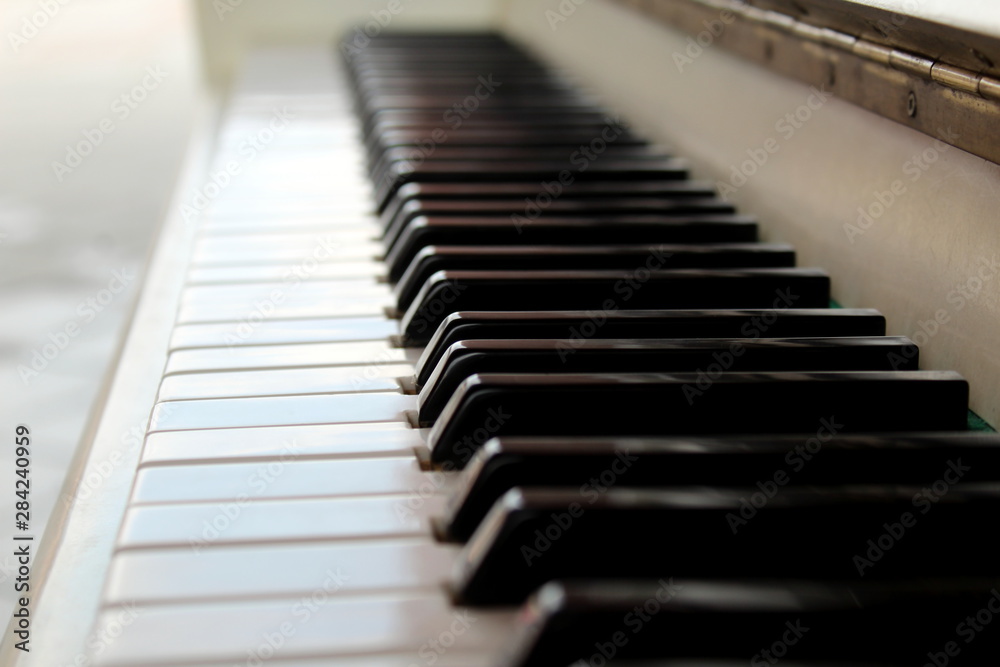 Close-up of piano keys in white and black