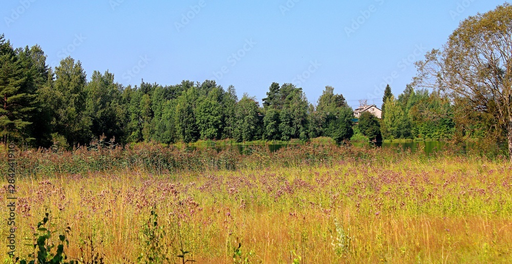 meadow with grass and lake view with a house on the shore meadow with grass and lake view with a house on the shore