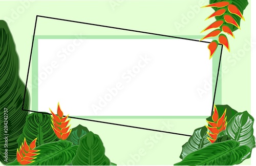 Heliconia vector illustration with summer flowers, Background and frame tropical leaf, background for banners, Rectangular vector border