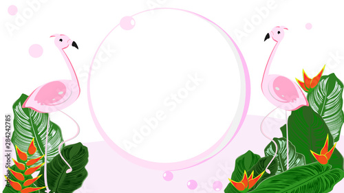 Tropical leaf frame, pink Flamingo bird and Heliconia with summer flowers, backgrounds and backgrounds for banners, borders squares, vector illustrations
