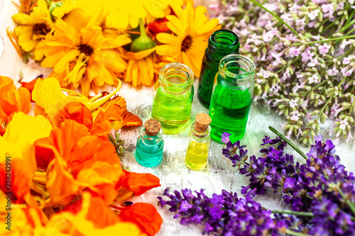 Fototapeta Naklejka Na Ścianę i Meble -  Herbal essential oil skincare bottle with plants and herbs, alternative medicine organic skincare