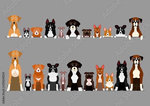 border set of white paw dogs