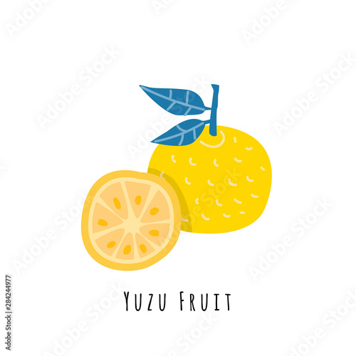 Yuzu fruit flat vector illustration photo