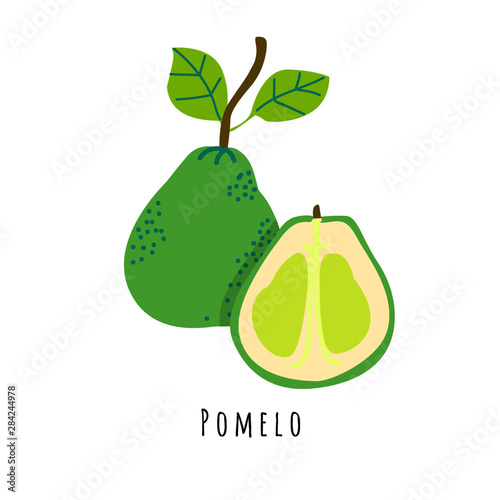 Pomelo fruit flat vector illustration