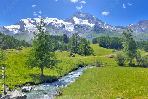 Fototapeta Naklejka Na Ścianę i Meble -  beautiful scenic ladscape in alpine mountain snowy and greenery meadow with a little river