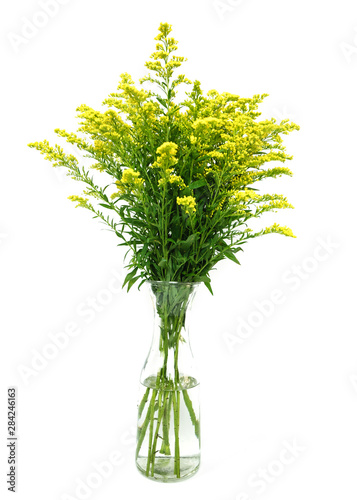 Yellow spring flowers (Solidago) in a glass vase Isolated on white background.