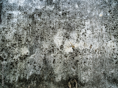 The old plaster wall art has water clabata and black fungus, Closeup old weathered concrete wall texture, With black stains on the wall