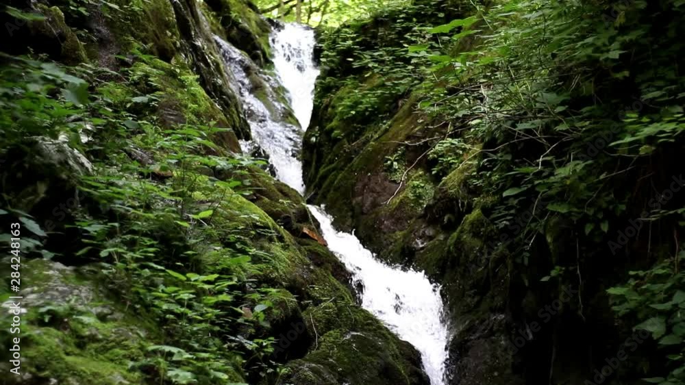 Slow motion view of water cascading down a narrow waterfall with lush green foliage moving in a gentle breeze. Forest hike to a relaxing waterfall scene. Slow motion view of water cascading down a narrow waterfall with lush green foliage moving in a gentle breeze. Forest hike to a relaxing waterfall scene.