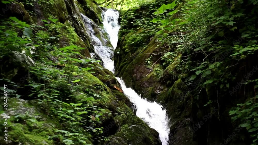 Beautiful forest waterfall with bright white cascades between deep green foliage and solid rock. Blue Ridge Mountain scenery. Beautiful forest waterfall with bright white cascades between deep green foliage and solid rock. Blue Ridge Mountain scenery.