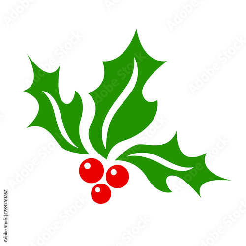 Christmas mistletoe vector icon.