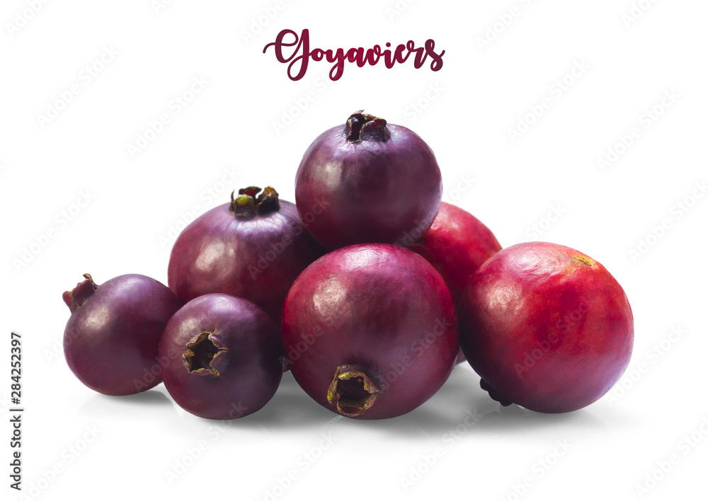 Little purple berries called ‘’Goyaviers’’, also chinese guavas (from Brazil) isolated on white background 
