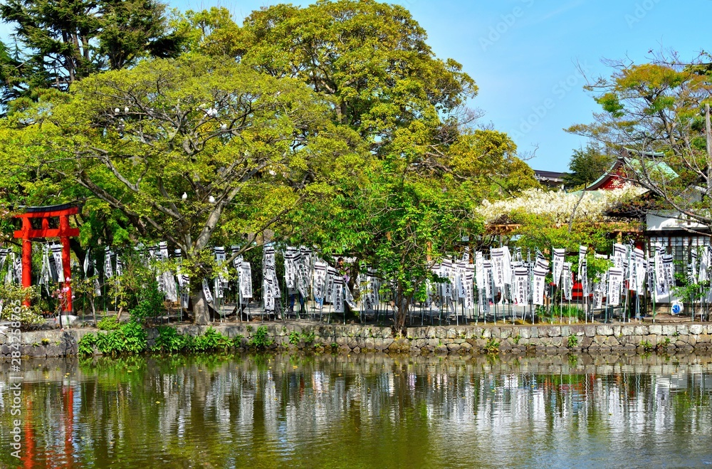 鎌倉鶴岡八幡宮の池に反射する弁天社の旗
