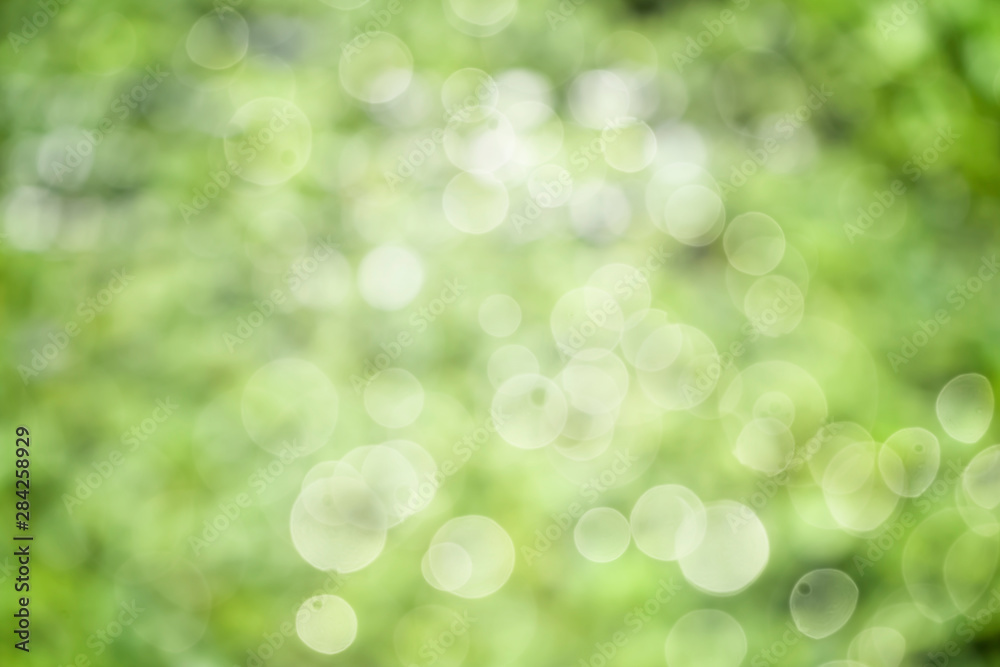 Nature view of green leaf on blurred greenery background. Nature view of green leaf on blurred greenery background.