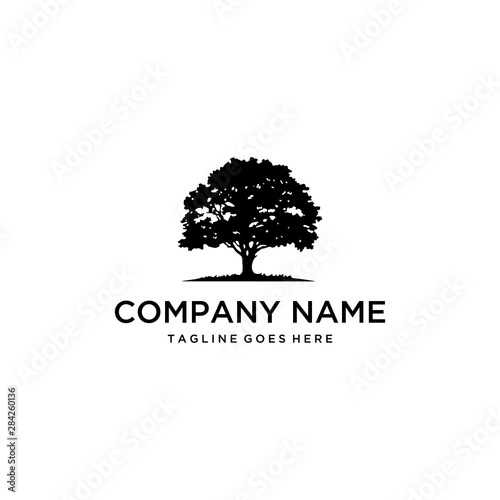 Illustration silhouette abstract big oak tree with her roots logo design Fototapet