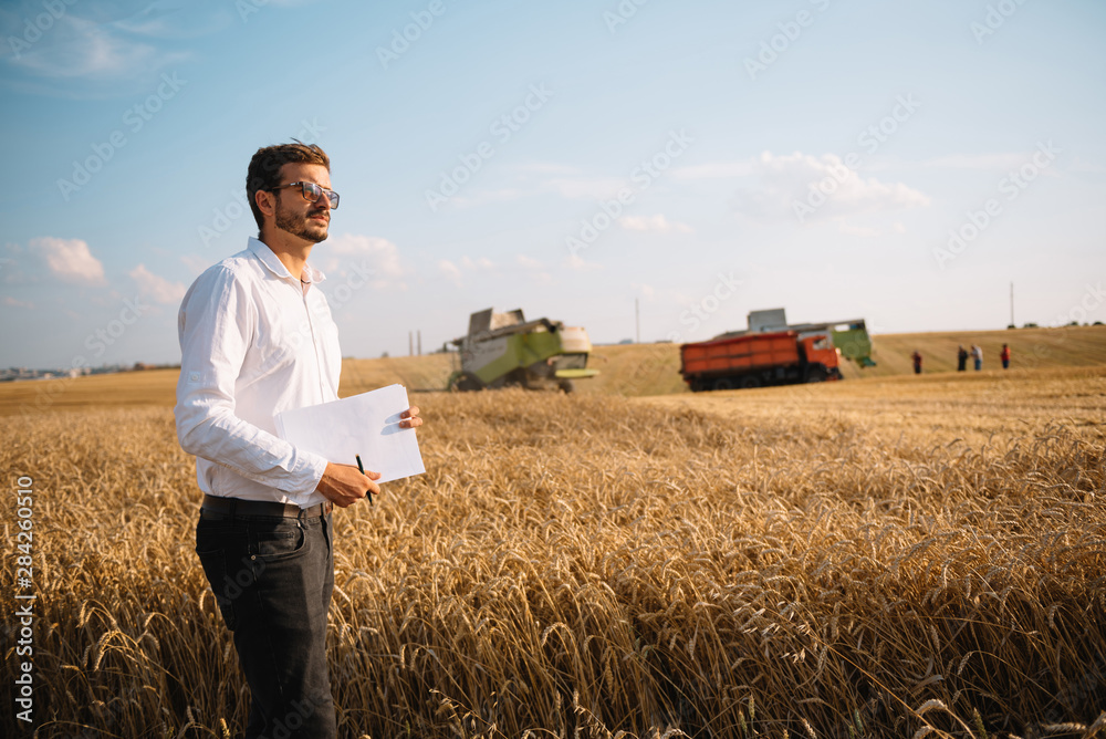 Happy farmer in the field checking corn plants during a sunny summer day, agriculture and food production concept