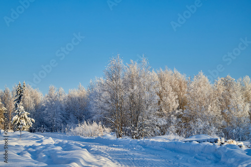 Winter landscape with forest and field in a sunny day © keleny