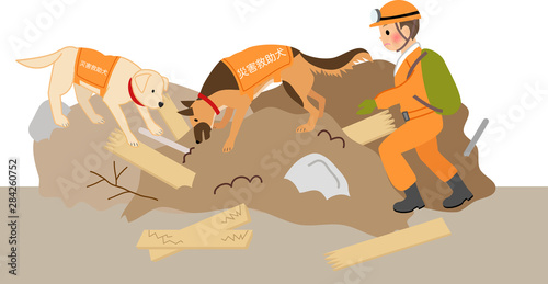 災害救助をする隊員と災害救助犬 photo