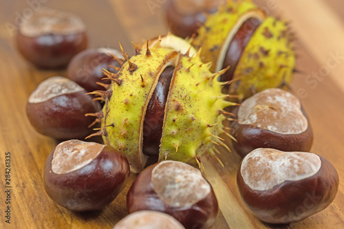 Rosskastanien,  Aesculus hippocastanum photo