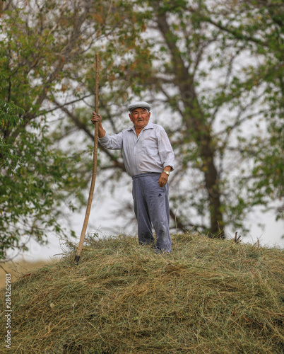 old farmer with a pitchfork on a haystack