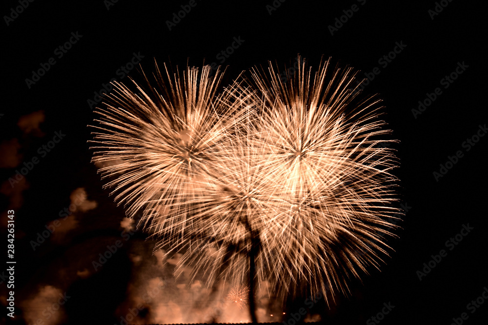 Naklejka premium 夜空の花火