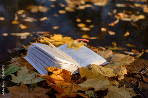 open book and autumn