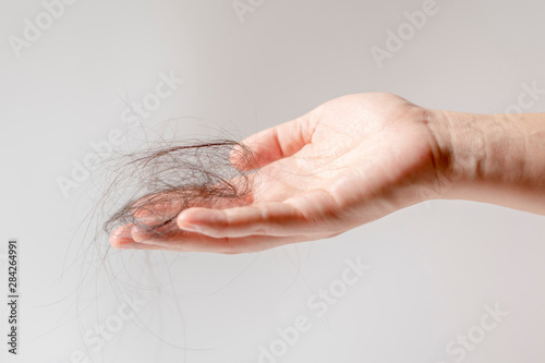 Hand of female holding hair fall or loss  is a problem of women on white background.