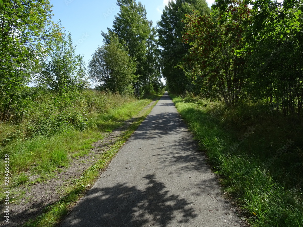 Smal path for running people and can also be used by bicycles Smal path for running people and can also be used by bicycles