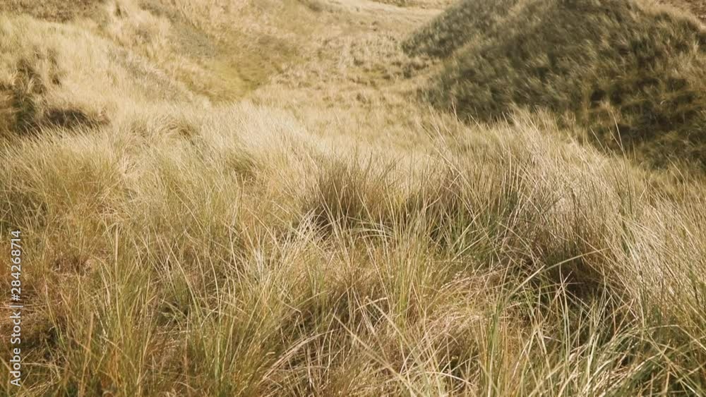 Scenic view on dune landscape with dune grass at the atlantic coastline in Denmark. Kamera is tilting upwards. Scenic view on dune landscape with dune grass at the atlantic coastline in Denmark. Kamera is tilting upwards.